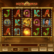MrPunter - Book of Dead Slot Game - Play'n GO Casino Slot